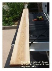 The cedar board marked at 12-inch intervals