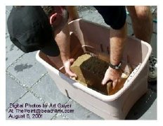 Weighing down the cedar planks with a large garden brick.