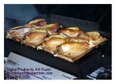 Plank-Cooked Chicken Breasts