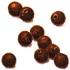 Allspice