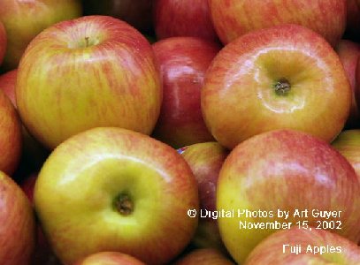 Fuji Apples in the Market Place