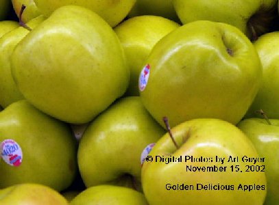 Golden Delicious Apples in the Market Place