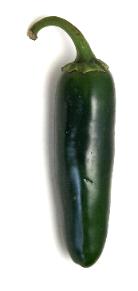 Jalapeno Pepper