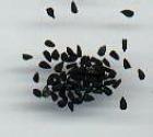 Nigella AKA Black Cumin