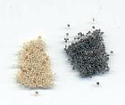 Poppy seeds (regular grey and Indian white types) 
