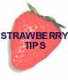 Tips on selecting, preparing, and storing strawberries.